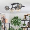 Ripoll lampa sufitowa, kula świetlna bursztynowy, przezroczysty, przydymiony, 5-punktowe