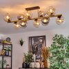 Koyoto lampa sufitowa, kula świetlna złoty, czarny, 10-punktowe