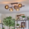 Ripoll Lampa sufitowa, Kula świetlna Chrom, Przezroczysty, Przydymiony, 5-punktowe