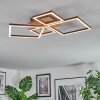 Brina Lampa sufitowa LED Brązowy, 1-punktowy