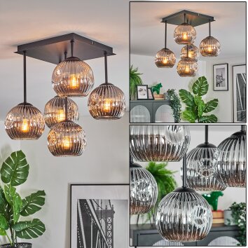 Ripoll Lampa sufitowa, Kula świetlna Przydymiony, 5-punktowe Ripoll Lampa sufitowa, Kula świetlna Przydymiony, 5-punktowe