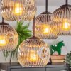 Ripoll Lampa sufitowa, Kula świetlna Chrom, Przezroczysty, Przydymiony, 5-punktowe
