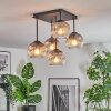 Ripoll Lampa sufitowa, Kula świetlna Przezroczysty, Przydymiony, 5-punktowe