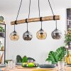 Ripoll lampa wisząca, kula świetlna, lampa wisząca kolory naturalne, czarny, 4-punktowe