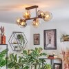 Koyoto lampa sufitowa, kula świetlna bursztynowy, przezroczysty, przydymiony, 6-punktowe