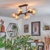 Koyoto Lampa sufitowa, Kula świetlna W kolorze bursztynu, Przezroczysty, 6-punktowe