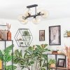 Koyoto Lampa sufitowa, Kula świetlna W kolorze bursztynu, Przezroczysty, 6-punktowe