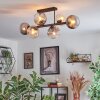 Koyoto lampa sufitowa, kula świetlna bursztynowy, przezroczysty, przydymiony, 6-punktowe