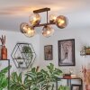 Koyoto lampa sufitowa, kula świetlna bursztynowy, przezroczysty, przydymiony, 6-punktowe