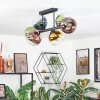 Koyoto lampa sufitowa, kula świetlna niebeieski, złoty, zielony, przezroczysty, miedziany, 6-punktowe