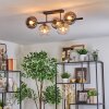 Koyoto Lampa sufitowa, Kula świetlna W kolorze bursztynu, Przezroczysty, Przydymiony, 5-punktowe