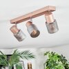 Nelar Lampa sufitowa, Spot sufitowy Brązowy, Chrom, 3-punktowe