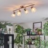 Saire Lampa sufitowa, Spot sufitowy Chrom, Nikiel matowy, 4-punktowe