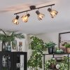 Saire Lampa sufitowa, Spot sufitowy Chrom, Czarny, 4-punktowe