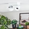 Narel Lampa sufitowa, Spot sufitowy LED Biały, 2-punktowe