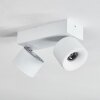 Narel Lampa sufitowa, Spot sufitowy LED Biały, 2-punktowe