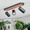 Orlan Lampa sufitowa, Spot sufitowy Chrom, Ecru, Czarny, 3-punktowe