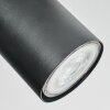 Orlan Lampa sufitowa, Spot sufitowy Chrom, Ecru, Czarny, 3-punktowe