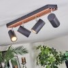 Orlan Lampa sufitowa, Spot sufitowy Chrom, Ecru, Czarny, 4-punktowe