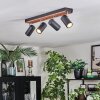 Orlan Lampa sufitowa, Spot sufitowy Chrom, Ecru, Czarny, 4-punktowe