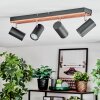 Orlan Lampa sufitowa, Spot sufitowy Chrom, Ecru, Czarny, 4-punktowe
