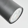 Orlan lampa sufitowa, spot sufitowy chrom, kolory naturalne, czarny, 4-punktowe
