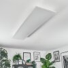 Orain Lampa sufitowa, Panel LED Biały, 1-punktowy