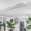 Orain Lampa sufitowa, Panel LED Biały, 1-punktowy