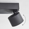 Narel Lampa sufitowa, Spot sufitowy LED Czarny, 2-punktowe