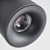 Narel Lampa sufitowa, Spot sufitowy LED Czarny, 2-punktowe