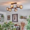 Koyoto lampa sufitowa, kula świetlna przezroczysty, przydymiony, 6-punktowe