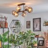 Koyoto lampa sufitowa, kula świetlna przezroczysty, przydymiony, 6-punktowe