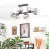 Koyoto lampa sufitowa, kula świetlna przezroczysty, przydymiony, 6-punktowe