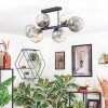 Ripoll lampa sufitowa, kula świetlna bursztynowy, przezroczysty, przydymiony, 6-punktowe