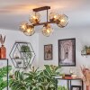 Ripoll lampa sufitowa, kula świetlna bursztynowy, przezroczysty, 6-punktowe