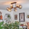 Ripoll Lampa sufitowa, Kula świetlna W kolorze bursztynu, Przezroczysty, Przydymiony, 6-punktowe