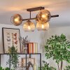 Koyoto lampa sufitowa, kula świetlna bursztynowy, przezroczysty, przydymiony, 5-punktowe