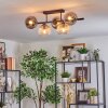 Koyoto lampa sufitowa, kula świetlna bursztynowy, przezroczysty, przydymiony, 5-punktowe