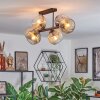 Ripoll lampa sufitowa, kula świetlna bursztynowy, przezroczysty, przydymiony, 6-punktowe