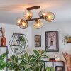 Ripoll lampa sufitowa, kula świetlna bursztynowy, przezroczysty, przydymiony, 6-punktowe