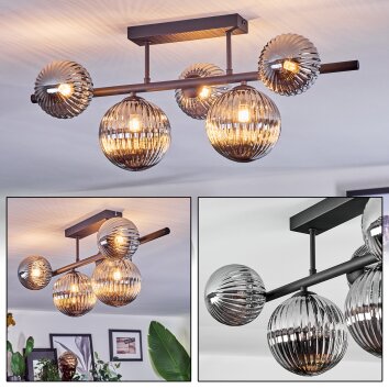 Chehalis Lampa sufitowa, Kula świetlna Przydymiony, 5-punktowe