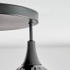 Rafel Lampa sufitowa Czarny, 3-punktowe