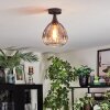 Rafel Lampa sufitowa Czarny, 1-punktowy