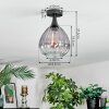 Rafel Lampa sufitowa Czarny, 1-punktowy