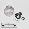 Rafel Lampa sufitowa Czarny, 1-punktowy