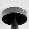 Rafel Lampa sufitowa Czarny, 1-punktowy