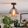 Rafel Lampa sufitowa Czarny, 1-punktowy