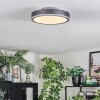 Salmi Lampa sufitowa, Panel LED Szary, Srebrny, 1-punktowy