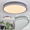 Salmi Lampa sufitowa, Panel LED Szary, Srebrny, 1-punktowy