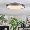 Salmi Lampa sufitowa, Panel LED Szary, Srebrny, 1-punktowy
